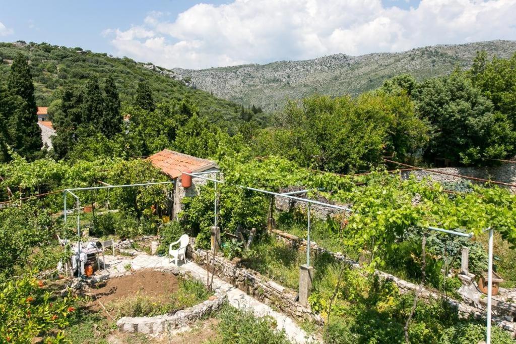 Guest House Zaton - Zaton Veliki Екстериор снимка