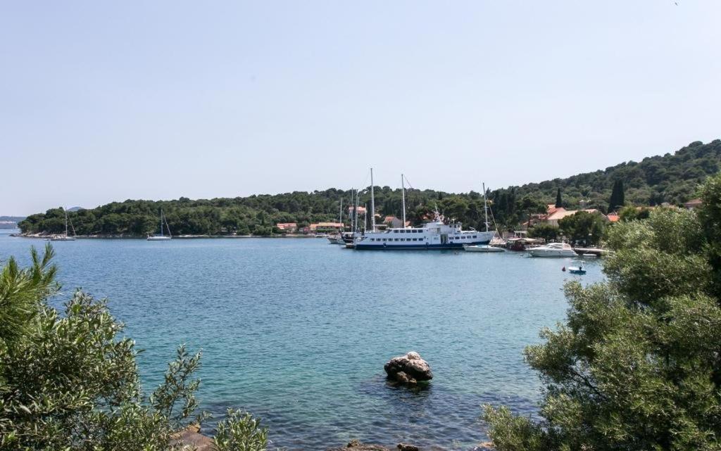 Guest House Zaton - Zaton Veliki Екстериор снимка